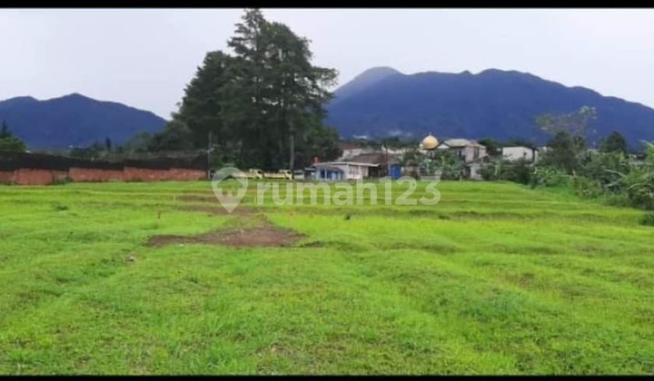 Tanah Kavling di Daerah Puncak Bogor Cisarua, Cuma 1jtaan.mau  5