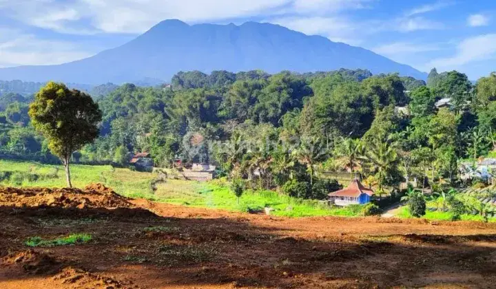 Jual Tanah Kavling Serbaguna Dipuncak Bogor Cisarua  4