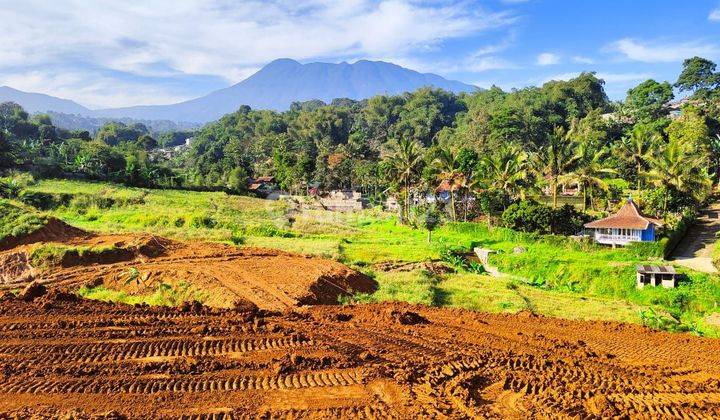 Jual Tanah Kavling Serbaguna Dipuncak Bogor Cisarua  9