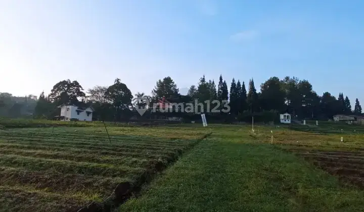 Tanah Kavling di Puncak 1jtaan M2  9