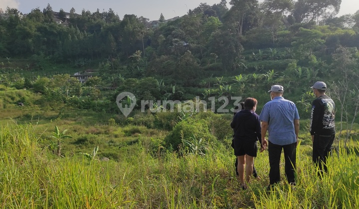 Tanah Kavling Lembah Kuta Di Megamendung Bogor  11