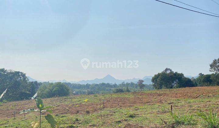 Tanah Kavling Dipuncak Murah  5