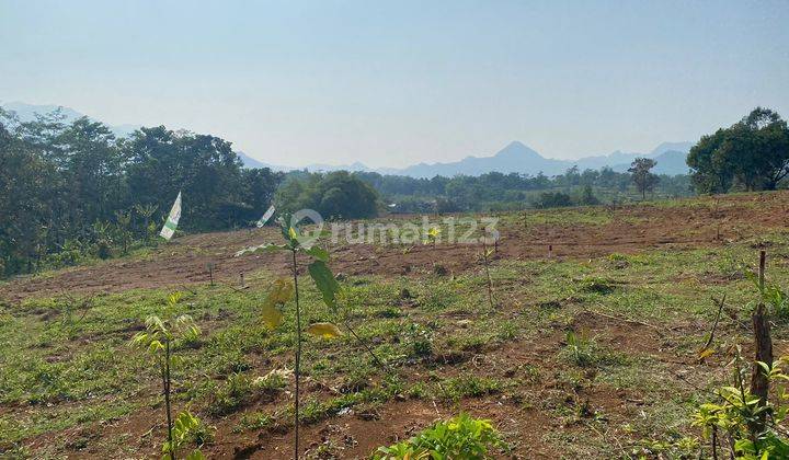 Tanah Kavling Dipuncak Murah  11