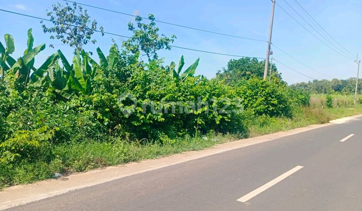 Jual Cepat Dan Murah Tanah Di Majalengka Jawa Barat