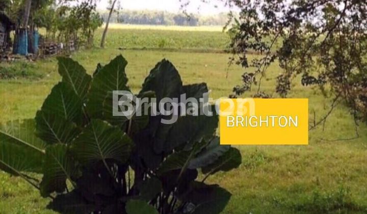 STRATEGIC LOW-COST LAND INVESTMENT BY THE PROVINCIAL ROAD IN PURWODADI