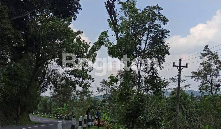 Tanah Murah, Pinggir Jalan Sumowono Bandungan Kabupaten Semarang 1