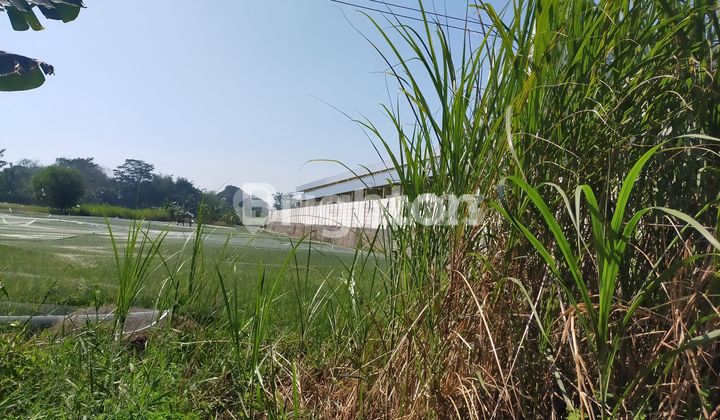 INVESTASI TANAH KOSONG CERDAS DAN MURAH,  PINGGIR JALAN PROPINSI DEKAT PINTU TOL MANGKANG SEMARANG 1