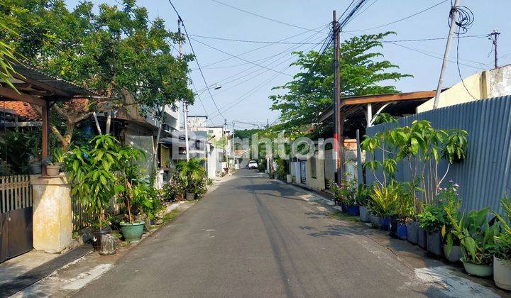 INVESTASI MENGUNTUNGKAN RUKO 2 LANTAI STRATEGIS SELANGKAH KE DR CIPTO DAN MT HARYONO SEMARANG 2