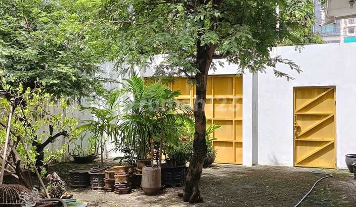 Rumah Lama Terawat Lokasi Strategis di Pandanaran Segitiga Emas Semarang Tengah 2