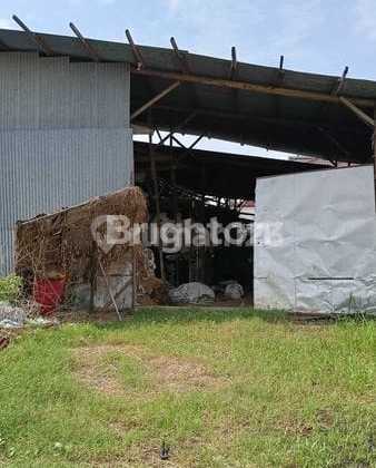 Tanah Kosong + Bangunan Gudang Lama Lokasi Pinggir Jalan Utama Siliwangi Semarang Barat 2