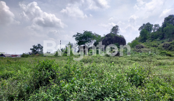 SPACIOUS AND STRATEGIC LAND ON THE SIDE OF SAMBIROTO MAIN ROAD 2