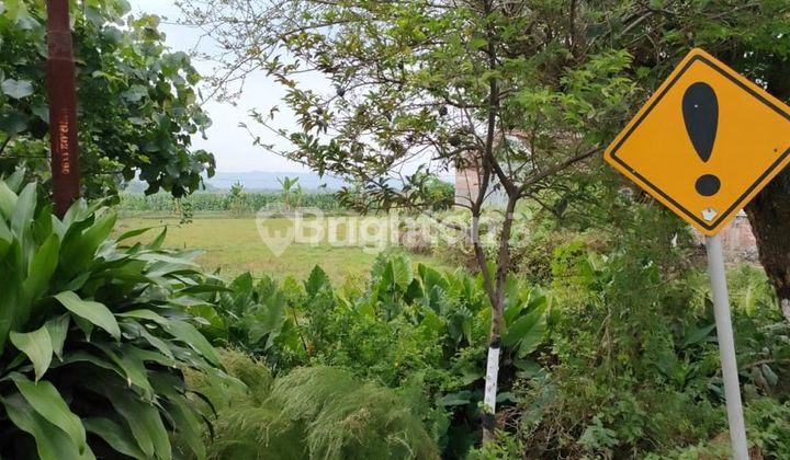STRATEGIC LOW-COST LAND INVESTMENT BY THE PROVINCIAL ROAD IN PURWODADI