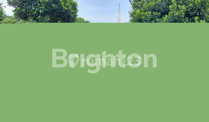 HOUSE IN BUKIT HIJAU HOUSING ESTATE, TEMBALANG, SOUTH SEMARANG 2