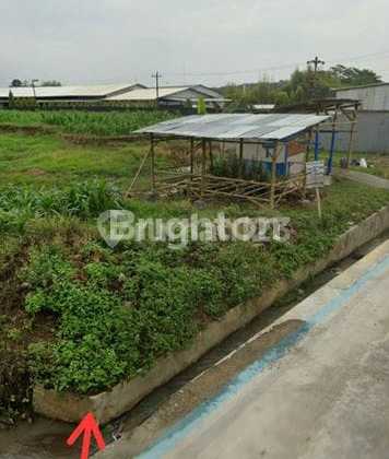 Tanah Kosong Area Industri Strategis Di Campur Rejo Boja Kendal