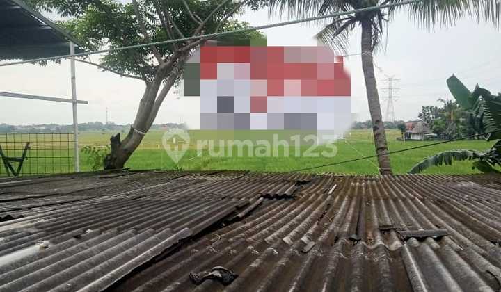 Below market price land for sale in Cikarang, Area: 9,267m², SHM, Price: IDR 3.5 million/m² negotiable.