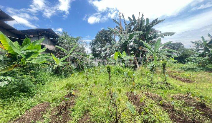 Dijual Tanah Cocok untuk Gudang atau Pabrik di Jalan Kemang Parung Jalan Raya Jakarta Bogor Dijual Tanah Cocok untuk Gudang atau Pabrik di Jalan Kemang Parung Jalan Raya Jakarta Bogor