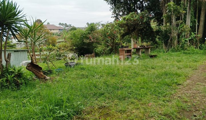 Cheap Land 500 M² SHM On Main Road Sersan Bajuri