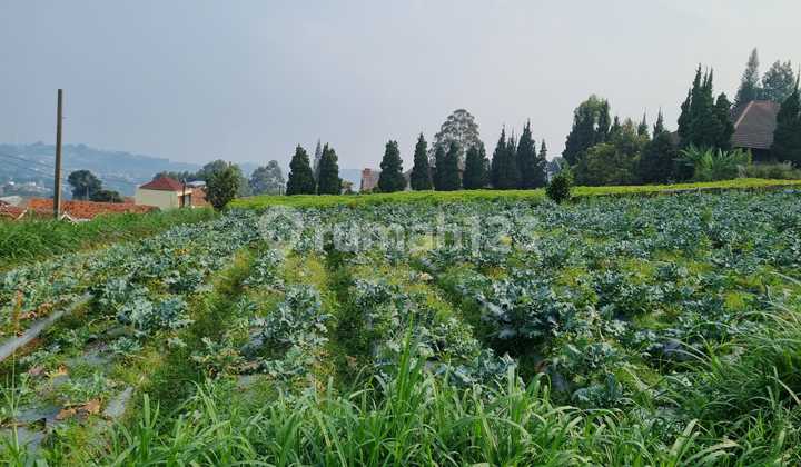 For Sale Kavling Siap Bangun 610 M² di Lembang