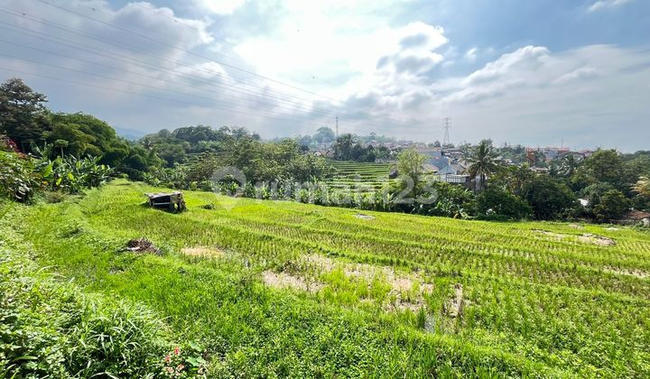 Tanah 6732 M² di Nagrog Ujungberung Bandung Tanah 6732 M² di Nagrog Ujungberung Bandung