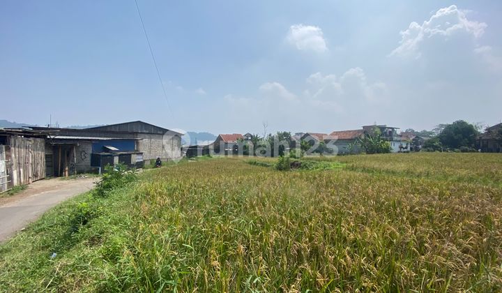Tanah 45000 M² Shm Di Jalaj Desa Margaasih