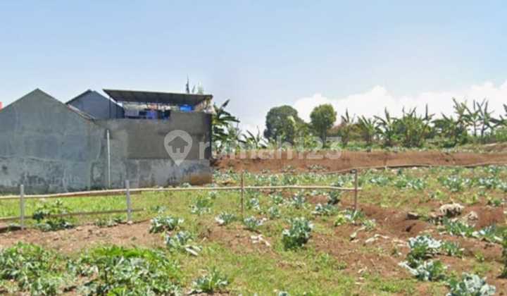 Tanah 204.0 M² SHM Strategis di Pinggir Jalan Ciwaruga Tanah 204.0 M² SHM Strategis di Pinggir Jalan Ciwaruga