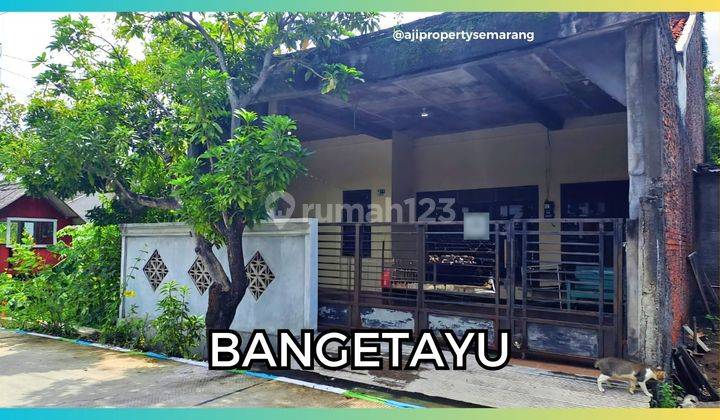 Jual Cepat Rumah Murah Di Sembungharjo Semarang Semarang  1