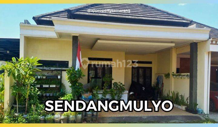 Rumah Cluster Dekat Pasar Sendangmulyo Dan Rs Ketileng Tembalang 1