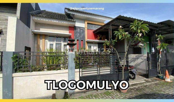 Rumah Di Tlogomulyo, Pedurungan Kota Semarang 1