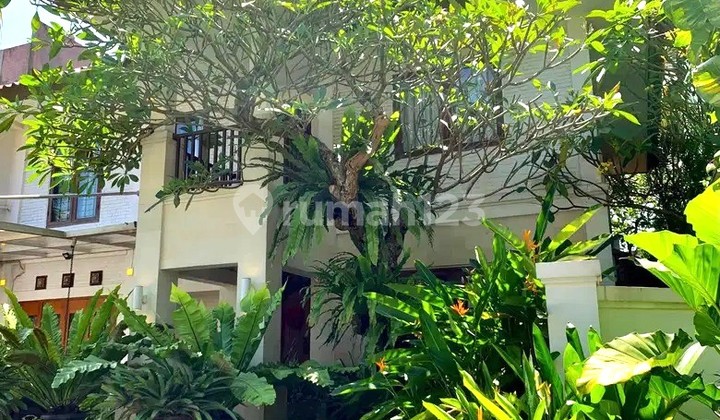 Modern tropical house in Bintaro near Lottemart with private swimming pool.