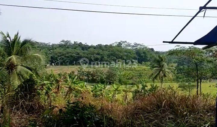 Jual Cepat Tanah 1 Km Dari Gerbang Tol Rangkas Bitung SHM 1