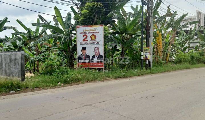 Tanah letak strategis di Rowosari raya jalan cor lebar,bebas banjir,cocok untuk kuliner,alfamidi,indomaret point,superindo. 2