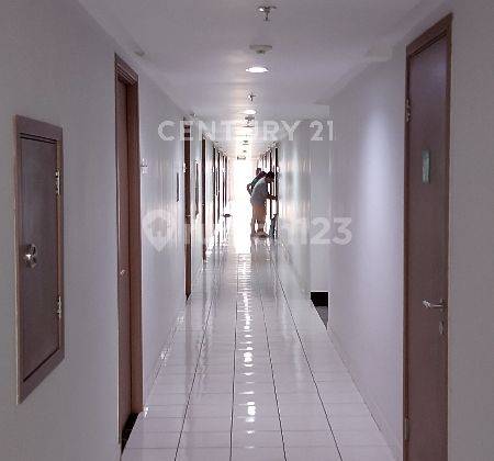 Murah Apt Podomoro Golf  View Cimanggis  2 BR 2