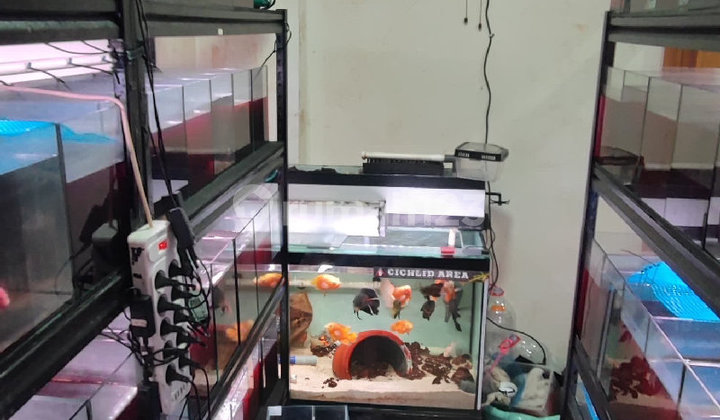 House for Small Family Near Culinary Center in Glodok 2