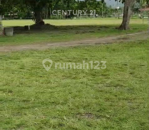 Palem Cibereum Beach Area, Anyer, Karang Bolong, Serang, Banten
