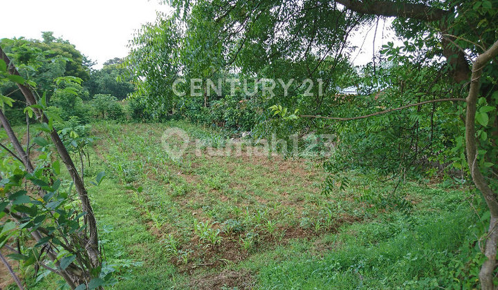 FOR SALE NORTH BALI LAND STRATEGIC LOCATION FLOOD-FREE