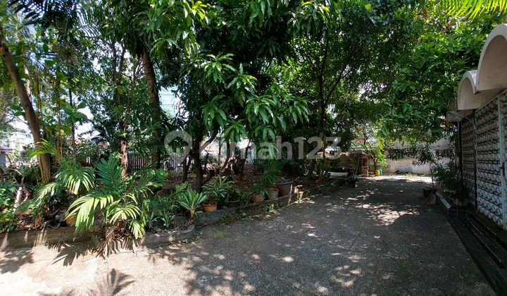 Downtown Semarang House Suitable for Office or Cafe 2