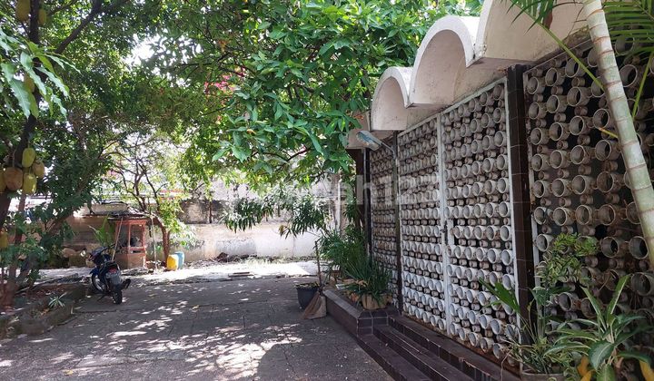 Downtown Semarang House Suitable for Office or Cafe 1