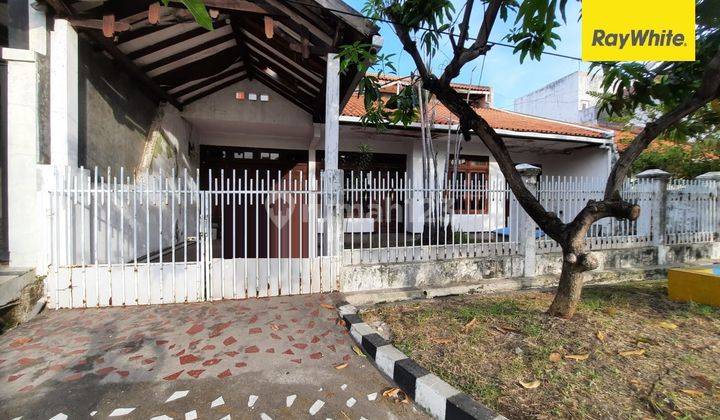 Dijual Rumah 2 Lantai di Darmo Baru Barat Surabaya 1