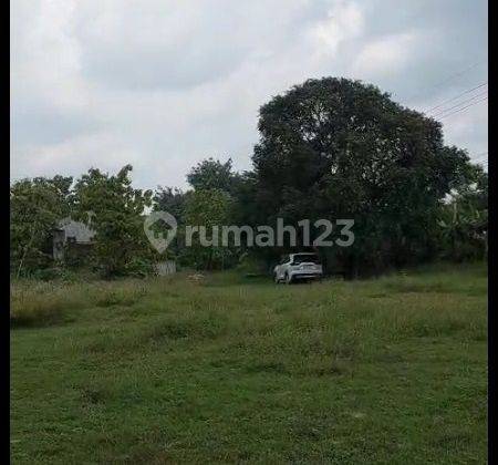 Dijual Tanah SHM di Jl Raya Plumpang Tuban 1