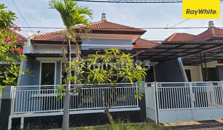 For Rent House on Jl Melon Selatan Pondok Tjandra Sidoarjo For Rent House on Jl Melon Selatan Pondok Tjandra Sidoarjo
