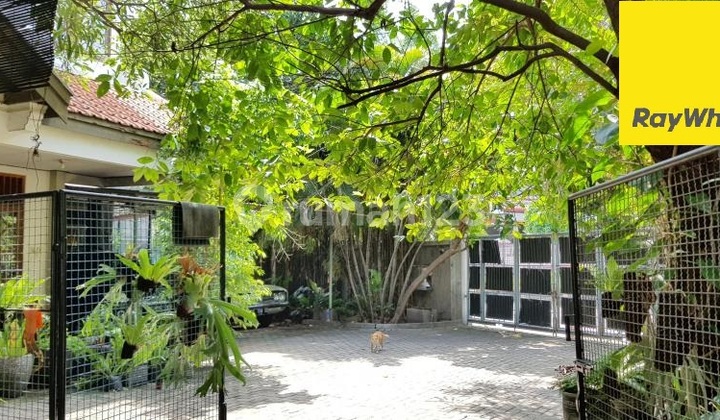 Dijual Rumah 2 lantai di Sarono Jiwo Surabaya Timur 2