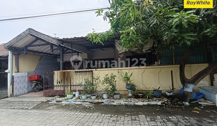 Dijual Rumah Murah di Jl Jambu Pondok Tjandra Sidoarjo 1