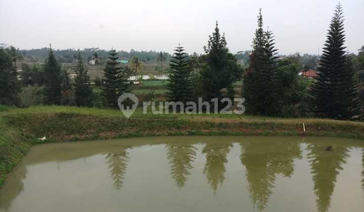 Di Jual Tanah Strategis Luas Kurang Lebih 3000m2 Surat AJB//25 1