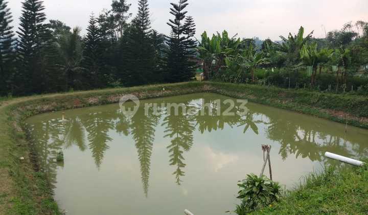 Di Jual Tanah Strategis Luas Kurang Lebih 3000m2 Surat AJB//25 2