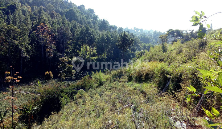 Jual Tanah Dago Giri Cocok untuk Tempat Wisata / Cafe