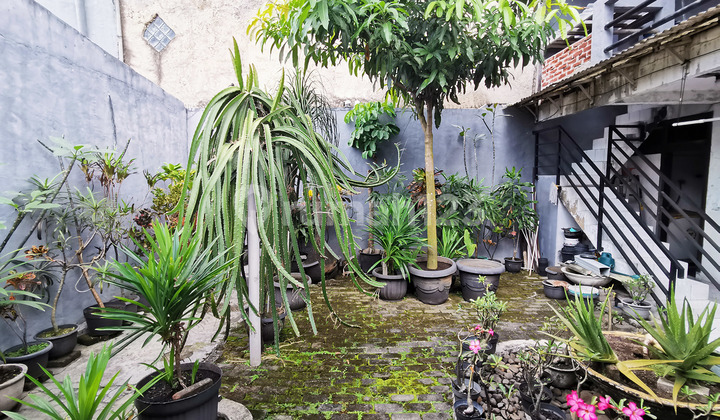 Rumah Tengah Kota Bandung Punya Taman Depan Belakang Rumah Tengah Kota Bandung Punya Taman Depan Belakang