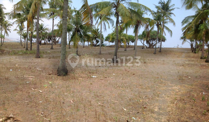 Jual Tanah Pantai Cemare Lembar Lombok Barat Cocok Untuk Villa 4