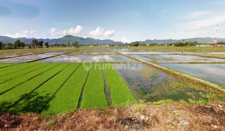 Jual Tanah Gorontalo 6 Km Dari Gorr Dekat Rumah Sakit Toto  1