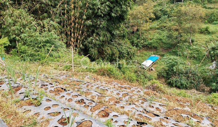 Tanah Dijual Bandung Dago Giri Dekat Tempat Wisata 1