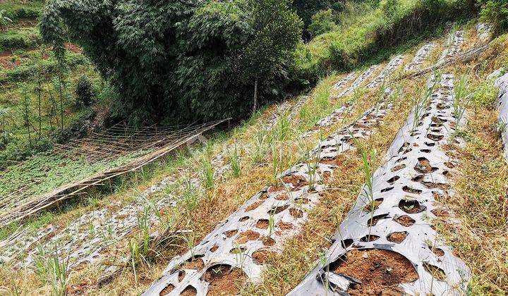 Tanah Dijual Bandung Dago Giri Dekat Tempat Wisata 2